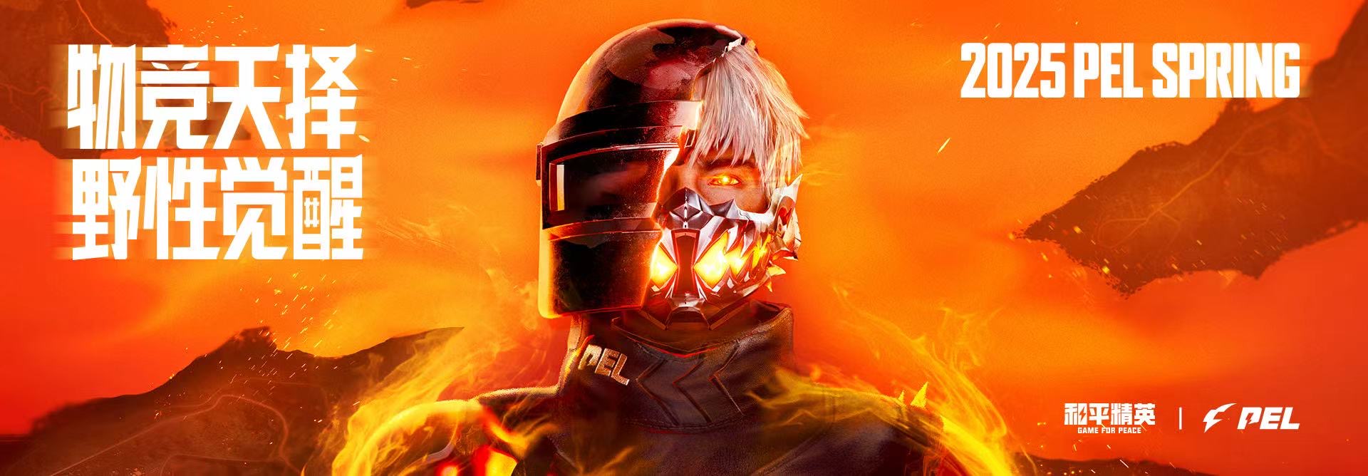 和平精英DDYS辅助